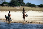 Filename=172---Zambezi-River.jpg
Filesize=522KB
Dimensions=1250x840
Date added=Feb 19, 2012 172---Zambezi-River.jpg