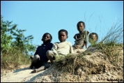 Filename=191---Zambezi-River.jpg
Filesize=621KB
Dimensions=1250x840
Date added=Feb 19, 2012 191---Zambezi-River.jpg