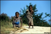 Filename=195---Zambezi-River.jpg
Filesize=549KB
Dimensions=1250x840
Date added=Feb 19, 2012 195---Zambezi-River.jpg