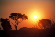 Filename=205---Zambezi-River.jpg
Filesize=458KB
Dimensions=1250x840
Date added=Feb 19, 2012 205---Zambezi-River.jpg