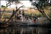 Filename=222---Zambezi-River.jpg
Filesize=613KB
Dimensions=1250x840
Date added=Feb 19, 2012 222---Zambezi-River.jpg