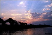 Filename=227---Zambezi-River.jpg
Filesize=412KB
Dimensions=1250x840
Date added=Feb 19, 2012 227---Zambezi-River.jpg