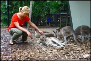 2010-11,12-Australia-1---Queensland_137.jpg