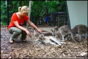 2010-11,12-Australia-1---Queensland_137.jpg