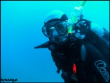 Filename=2010-11,12-Australia-2---GBR-diving-004.jpg
Filesize=39KB
Dimensions=504x380
Date added=Jan 09, 2011 2010-11,12-Australia-2---GBR-diving-004.jpg