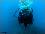 2010-11,12-Australia-2---GBR-diving-008.jpg