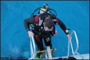 Filename=2010-11,12-Australia-2---GBR-diving-024.jpg
Filesize=100KB
Dimensions=800x536
Date added=Jan 09, 2011 2010-11,12-Australia-2---GBR-diving-024.jpg