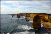 2010-11,12-Australia-4---Kangaroo_Victoria-148.jpg