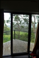 2010-11,12-Australia-4---Kangaroo_Victoria-156.jpg