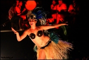 Filename=2011-11_CookIsland_029.jpg
Filesize=279KB
Dimensions=1280x857
Date added=Feb 19, 2012 2011-11_CookIsland_029.jpg