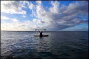Filename=2011-11_CookIsland_031.jpg
Filesize=285KB
Dimensions=1280x857
Date added=Feb 19, 2012 2011-11_CookIsland_031.jpg