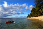 Filename=2011-11_CookIsland_032.jpg
Filesize=323KB
Dimensions=1221x821
Date added=Feb 19, 2012 2011-11_CookIsland_032.jpg