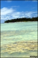 Filename=2011-11_CookIsland_059.jpg
Filesize=256KB
Dimensions=857x1280
Date added=Feb 19, 2012 2011-11_CookIsland_059.jpg
