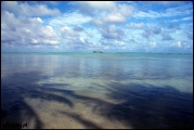 Filename=2011-11_CookIsland_063.jpg
Filesize=267KB
Dimensions=1280x857
Date added=Feb 19, 2012 2011-11_CookIsland_063.jpg