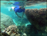 Filename=2011-11_CookIsland_101.jpg
Filesize=229KB
Dimensions=806x607
Date added=Feb 19, 2012 2011-11_CookIsland_101.jpg