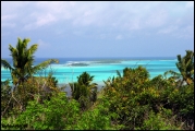 Filename=2011-11_CookIsland_122.jpg
Filesize=466KB
Dimensions=1280x857
Date added=Feb 19, 2012 2011-11_CookIsland_122.jpg