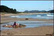 Filename=2011-10,11_NZ_014.jpg
Filesize=334KB
Dimensions=1280x857
Date added=Jan 29, 2012 2011-10,11_NZ_014.jpg
