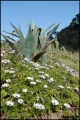 Filename=2011-10,11_NZ_015.jpg
Filesize=461KB
Dimensions=857x1280
Date added=Jan 29, 2012 2011-10,11_NZ_015.jpg