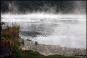 Filename=2011-10,11_NZ_019.jpg
Filesize=230KB
Dimensions=960x643
Date added=Jan 29, 2012 2011-10,11_NZ_019.jpg