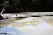 Filename=2011-10,11_NZ_049.jpg
Filesize=163KB
Dimensions=960x643
Date added=Jan 29, 2012 2011-10,11_NZ_049.jpg