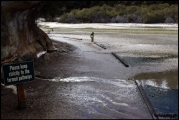 Filename=2011-10,11_NZ_060.jpg
Filesize=270KB
Dimensions=960x643
Date added=Jan 29, 2012 2011-10,11_NZ_060.jpg