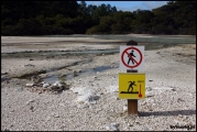 Filename=2011-10,11_NZ_067.jpg
Filesize=312KB
Dimensions=960x643
Date added=Jan 29, 2012 2011-10,11_NZ_067.jpg