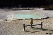 Filename=2011-10,11_NZ_069.jpg
Filesize=287KB
Dimensions=960x643
Date added=Jan 29, 2012 2011-10,11_NZ_069.jpg