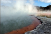 Filename=2011-10,11_NZ_070.jpg
Filesize=126KB
Dimensions=960x643
Date added=Jan 29, 2012 2011-10,11_NZ_070.jpg