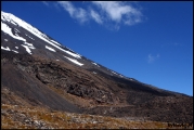 Filename=2011-10,11_NZ_090.jpg
Filesize=216KB
Dimensions=960x643
Date added=Jan 29, 2012 2011-10,11_NZ_090.jpg