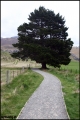 Filename=2011-10,11_NZ_157.jpg
Filesize=262KB
Dimensions=643x960
Date added=Jan 29, 2012 2011-10,11_NZ_157.jpg