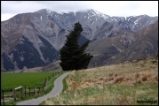 Filename=2011-10,11_NZ_159.jpg
Filesize=239KB
Dimensions=960x643
Date added=Jan 29, 2012 2011-10,11_NZ_159.jpg
