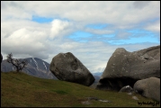 Filename=2011-10,11_NZ_170.jpg
Filesize=274KB
Dimensions=1280x857
Date added=29.Jan 2012 2011-10,11_NZ_170.jpg