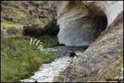 Filename=2011-10,11_NZ_179.jpg
Filesize=530KB
Dimensions=1280x857
Date added=Jan 29, 2012 2011-10,11_NZ_179.jpg