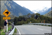 Filename=2011-10,11_NZ_185.jpg
Filesize=375KB
Dimensions=1280x857
Date added=Jan 29, 2012 2011-10,11_NZ_185.jpg