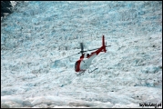 Filename=2011-10,11_NZ_203.jpg
Filesize=539KB
Dimensions=1280x857
Date added=Jan 29, 2012 2011-10,11_NZ_203.jpg