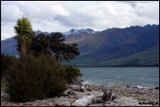 Filename=2011-10,11_NZ_244.jpg
Filesize=213KB
Dimensions=960x643
Date added=29.Jan 2012 2011-10,11_NZ_244.jpg