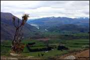 Filename=2011-10,11_NZ_246.jpg
Filesize=188KB
Dimensions=960x643
Date added=29.Jan 2012 2011-10,11_NZ_246.jpg