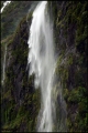 Filename=2011-10,11_NZ_268.jpg
Filesize=212KB
Dimensions=643x960
Date added=29.Jan 2012 2011-10,11_NZ_268.jpg