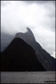 Filename=2011-10,11_NZ_273.jpg
Filesize=114KB
Dimensions=617x918
Date added=Jan 29, 2012 2011-10,11_NZ_273.jpg
