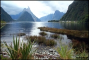 Filename=2011-10,11_NZ_274.jpg
Filesize=459KB
Dimensions=1280x857
Date added=Jan 29, 2012 2011-10,11_NZ_274.jpg