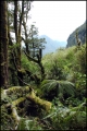 Filename=2011-10,11_NZ_276.jpg
Filesize=577KB
Dimensions=857x1280
Date added=Jan 29, 2012 2011-10,11_NZ_276.jpg