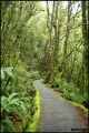 Filename=2011-10,11_NZ_277.jpg
Filesize=386KB
Dimensions=643x960
Date added=Jan 29, 2012 2011-10,11_NZ_277.jpg
