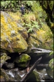 Filename=2011-10,11_NZ_278.jpg
Filesize=527KB
Dimensions=857x1280
Date added=Jan 29, 2012 2011-10,11_NZ_278.jpg