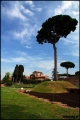 Filename=2012-03-22,25_Rome_027.jpg
Filesize=390KB
Dimensions=857x1280
Date added=Jul 15, 2012 2012-03-22,25_Rome_027.jpg