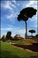 2012-03-22,25_Rome_027.jpg