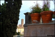 Filename=2012-03-22,25_Rome_032.jpg
Filesize=403KB
Dimensions=1280x857
Date added=Jul 15, 2012 2012-03-22,25_Rome_032.jpg