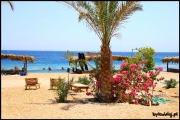 Filename=Dahab_2010-07-14,21_25.jpg
Filesize=184KB
Dimensions=800x533
Date added=Jul 25, 2010 Dahab_2010-07-14,21_25.jpg