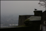 Edinburgh_2010-04-24,28-067.jpg