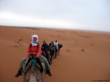 Filename=0091_Maroko2004_Erg-Chebbi.jpg
Filesize=206KB
Dimensions=800x600
Date added=Jul 21, 2008 0091_Maroko2004_Erg-Chebbi.jpg