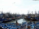 Filename=0443_Maroko2004_Essaouira.jpg
Filesize=340KB
Dimensions=800x600
Date added=Jul 21, 2008 0443_Maroko2004_Essaouira.jpg